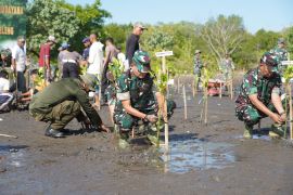 Kodam Udayana tanam 9.200 mangrove di pesisir Buleleng
