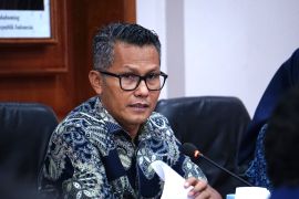Kemenperin minta Danantara lengkapi investasi pohon industri