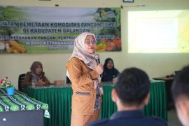 DKP3 Balangan laksanakan pemetaan komoditas pangan lokal