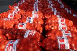 Lantamal Pontianak gagalkan penyelundupan 47 ton bawang Selandia Baru