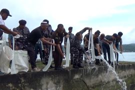 Lantamal IX Ambon musnahkan 1,4 ton miras hasil sitaan pelabuhan