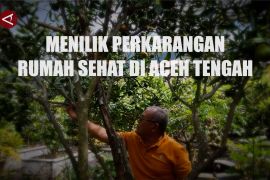 Menilik perkarangan rumah sehat di Aceh Tengah