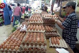 Stok telur di Sulawesi Selatan surplus 3,4 juta kilogram