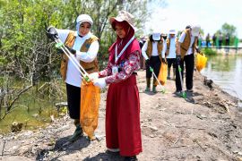 Fatma Saifullah Yusuf dukung pemberdayaan komunitas mangrove