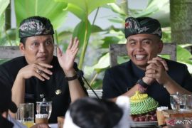Pemkab Jembrana akan merger dinas demi efisiensi