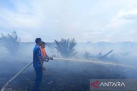 BPBD Aceh Barat imbau warga tidak bakar lahan kebun, cegah karhutla
