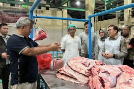 Kementan minta Pemda perketat pengawasan rantai pasok pangan hewani cegah penyimpangan