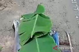 Kecelakaan Maut di Cianjur: Nenek Tewas Terlindas Bus, Sopir Ditahan Polisi