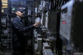 Ekonom benarkan diskon listrik jadi faktor utama deflasi di awal 2025