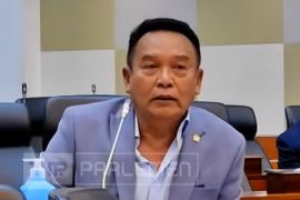 Anggota DPR: Tugas TNI bertambah jaga ketahanan siber dan narkoba