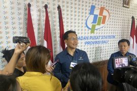 BPS tak temukan dampak efisiensi di Bali, meski Februari deflasi