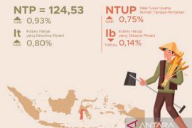 NTP Sulsel pada Februari 2025 alami kenaikan 0,93 persen