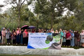 Rumah Pangan PNM, solusi ketahanan pangan untuk masyarakat Purwokerto