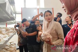 Wamendag: Operasi pasar wujud pemerintah hadir untuk masyarakat