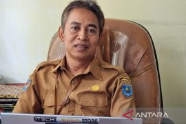 TPHBun Papua Barat prioritas kembangkan tiga komoditas perkebunan