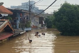 Anak-anak berenang di tengah banjir setinggi tiga meter di Rawajati