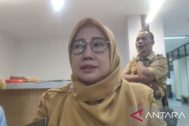 Distan Semarang:  Belum ada temuan daging ayam gelonggongan