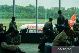 Pemerintah tanggung PPN harga tiket pesawat ekonomi pada mudik lebaran 2025