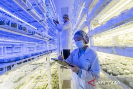 Hutan dalam botol; keajaiban kloning dari Pangkalan Kerinci