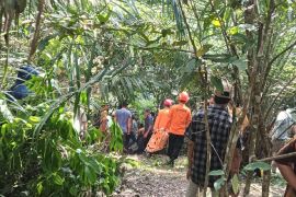 Tim SAR evakuasi kepala desa  yang hilang di Sungai Lau Luhung Sumut