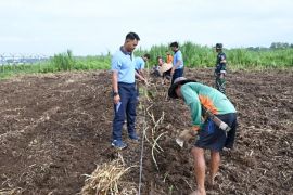 TNI AU bangun lahan penghasil pangan di Tasikmalaya