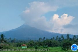 Gunung Lewotobi Laki-laki erupsi dua kali hari ini