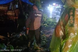 BPBD Padang koordinasikan penanganan longsor di jalan Padang-Solok