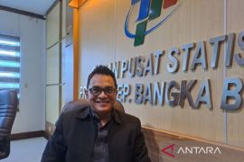 Penumpang angkutan udara di Babel turun 11,74 persen