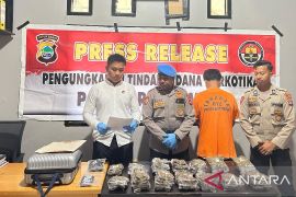 Polisi tangkap pembawa 2,2 kilogram ganja ke Sorong