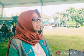 Harga cabai di NTB turun jadi Rp55 ribu per kilogram