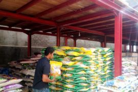 Bulog pastikan Stok beras di Seram Bagian Timur cukup selama Ramadhan 2025