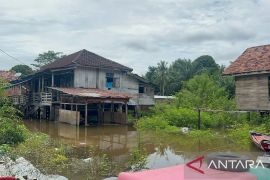 Sebanyak 17 rumah terendam banjir di Muaro Bulian