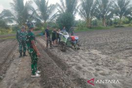 Kodim Bangka Barat kembangkan program ketahanan pangan di Parittiga