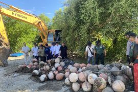 Dinas Kelautan pastikan pembatas laut di pulau Serangan dicabut demi nelayan