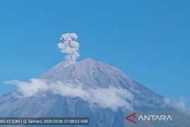 Gunung Semeru erupsi 5 kali, tinggi letusan 1.100 meter