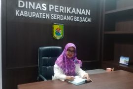 Bantuan kapal Dinas Perikanan Sergai sesuai spesifikasi