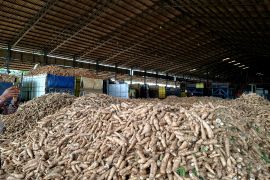 Gubernur Lampung cari solusi permasalahan sektor pertanian