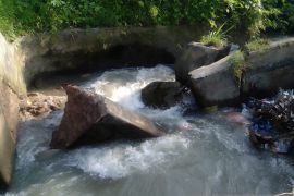 Begini kondisi irigasi Paya Sordang jebol yang ancam kering ratusan hektare sawah di Tapsel