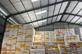 Bulog Maluku jamin stok beras di Maluku cukup penuhi kebutuuhan empat bulan ke depan