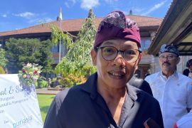 Forkom desa wisata Bali tolak ubah nama jadi desa budaya
