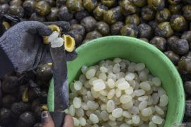 Ramadhan tiba, kolang-kaling jadi primadona musiman di Pasar Induk Kramat Jati