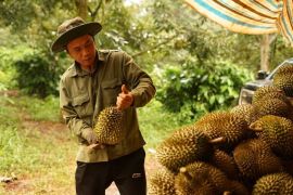 PM Kamboja Hun Manet sebut RCEP perkuat integrasi regional ASEAN