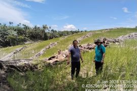Pemkab Pasaman Barat imbau petani usulkan peremajaan kelapa sawit