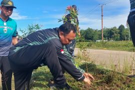 DLHKP Papua Barat Daya tanam 100 pohon semarakkan HBR di Aimas