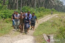 Dinsos Mukomuko berharap anggaran pengobatan ODGJdipertahankan