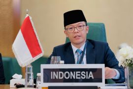 Menlu RI usulkan tiga langkah kunci respons situasi di Palestina kepada OKI