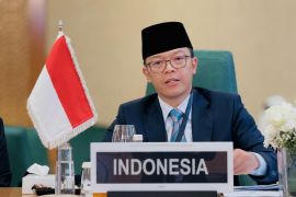 Menlu RI Sugiono usulkan tiga langkah respons situasi di Palestina kepada OKI