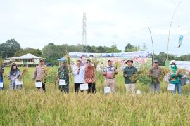 Kemenkum usulkan Namang Bangka Tengah sebagai KBKI