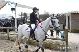 Menpora bertekad kawal cabang berkuda hingga tembus Olimpiade