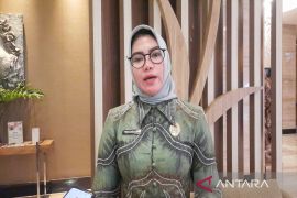 KPU Kalsel pastikan tak ada tambahan pemilih pada PSU Pilkada Banjarbaru